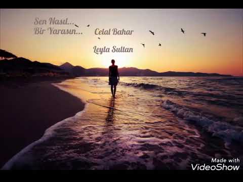 SEN NASIL BİR YARASIN