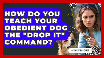 How Do You Teach Your Obedient Dog The "Drop It" Command? - Obedient Dog Guide