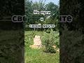 На пути к своей мечте #творю