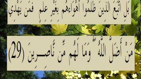 القران الكريم سورة الروم الأية 29.wmv