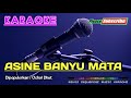 ASINE BANYU MATA -Ochol Dhut- KARAOKE