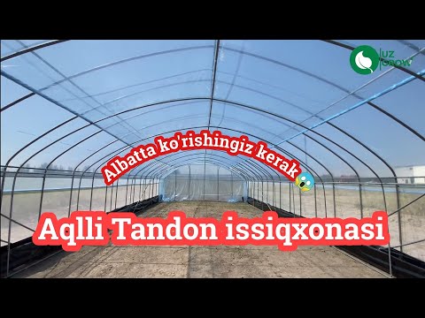 Video: Uyingizda Toymasin Issiqxona Yasash