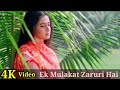 Ek Mulakat Zaruri Hai Sanam 4K Video Song Sirf Tum Sanjay Kapoor Priya Gill Jaspinder N HD Ek Mulakat Zaruri Hai Sanam 4K Video Song Sirf Tum Sanjay Kapoor Priya Gill Jaspinder N HD
