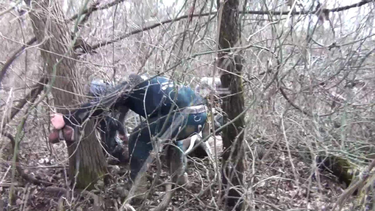 Hog Hunting in Arkansas part 2 Southern Hoggers TV YouTube