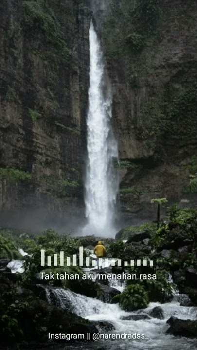 ILUSI TAK BERTEPI -HIJAU DAUN