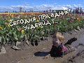 С 8 марта дорогие наши девочки, девушки, женщины!