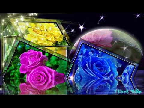 Video Triệu đóa hoa hồng (Ca sĩ Kim Khánh) - youtube