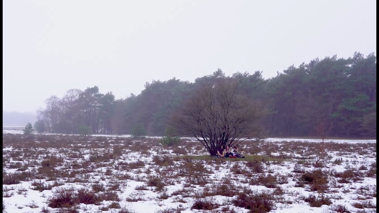 missing the summer - The Hippo And The Gazelle ft. Bandje (Official Music Video)