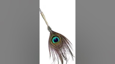 Jammu University BA Sem 4th - Geography - Previous year question paper