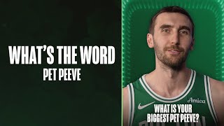 Famous Celtics players describe their biggest pet peeves | What's the Word Net Worth