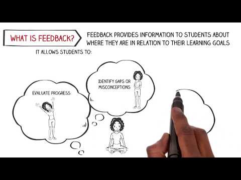 Feedback and Feed