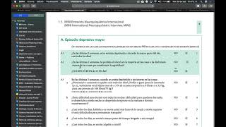 International Neuropsychiatric Interview (Mini)