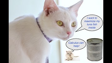 Optimization problem 11 (cylinder inside cone)