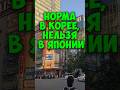Так НЕ делают в ЯПОНИИ, но принято в КОРЕЕ! Не перепутай #shots #япония #жизнь_в_японии #токио