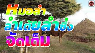 หมอลำ ลำเต้ย ลำซิ่ง จัดเต็ม#Thai Folk Song#thai country music#thai music#lukthung#ລູກທົ່ງ ໂມລຳ