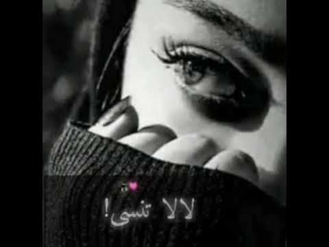 شلون ماحبك حالات واتس اب