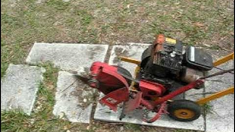 2 HP McLane Edger demo