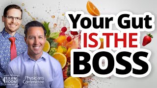 Why Your Gut Controls Inflammation, Immunity & Energy — With Dr. Will Bulsiewicz