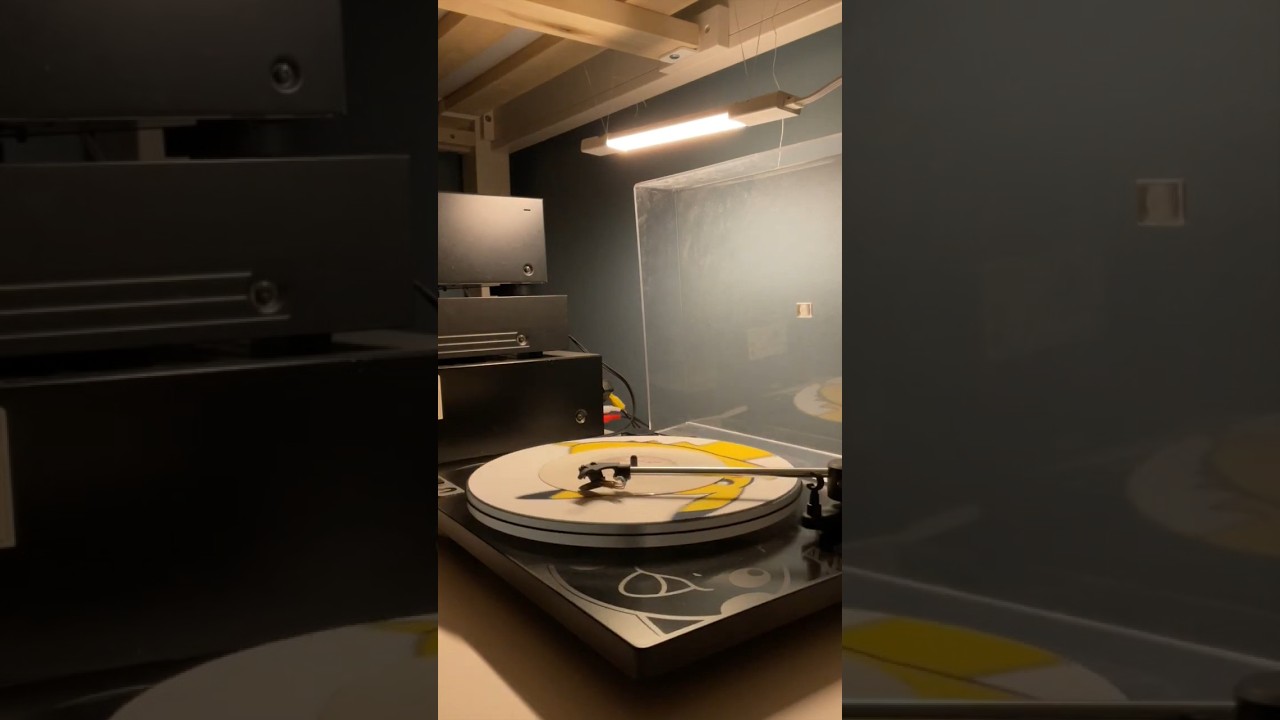 Azizam Loop Cover - Warm Vinyl Vibes🎤🎶 