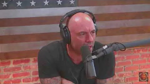 Joe Rogan - Polar Bear Attacks
