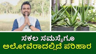 Amazing Uses for Aloe Vera | Vijay Karnataka