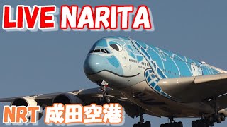 LIVE at NARITA International Airport Plane Spotting　2024.06.01　成田空港ライブカメラ 成田空港　NRT/RJAA