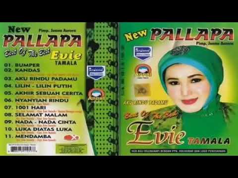 New Pallapa Best Of Evie Tamala Vol 1 Full Album