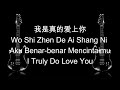 Wo shi zhen de ai shang ni  aku benarbenar mencintaimu cover