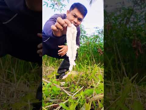 butong #everyone #viral #trending #shorts #fyp