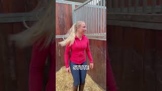 Pferdehofliebe - Team Stute, Wallach Oder Hengst?