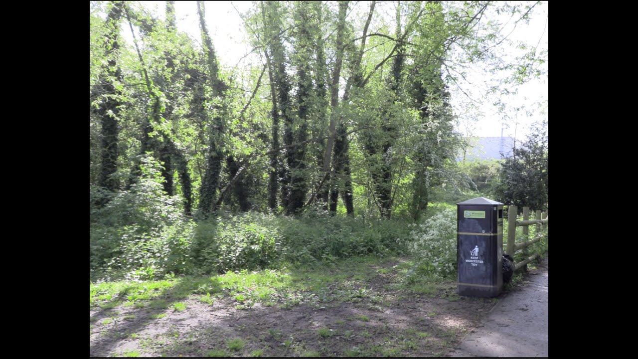 laugherne-brook-nature-reserve-coles-meadow-youtube