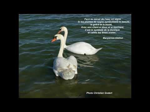 maryanna-chante---l'envie-d'aimer,-pour-souhaiter-un-joyeux-noël-à-mes-amies