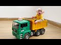 Baby monkey Lily plays with the truck so fun