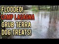 FLOODED! Camp Lasagna, and Grub Terra Dog Treats!