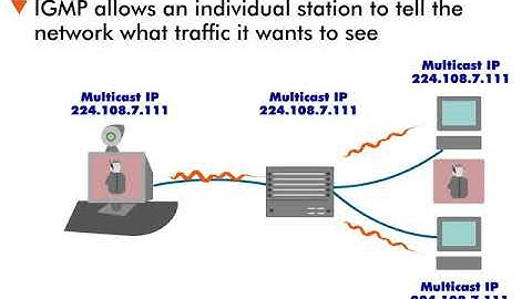 IP Multicast Services - 10 : Client Protocols