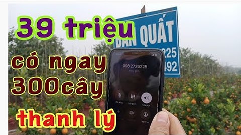 Trực tiếp gọi điện xem giá quất tết 2022 chậu nhựa đẹp giá bất ngờ quất tết 2022 mua nhanh mai hết