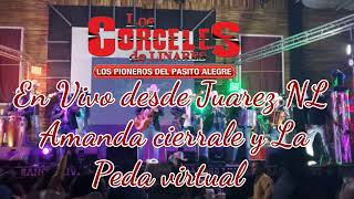 Los Corceles De Linares- (En Vivo) Amanda Cierrale y La Peda Virtual