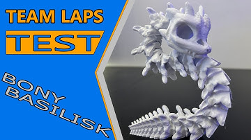 BONY BASILISK TIME LAPSE TEST
