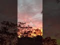 Fiery sunset