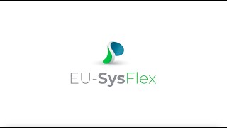 Celebrity EU-SysFlex Final Project Video Wealth