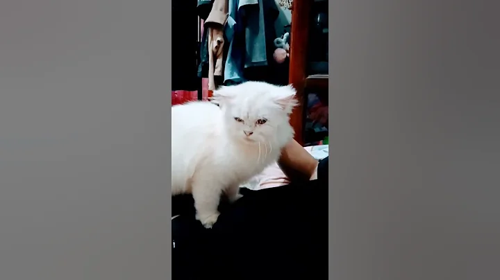 Watch the video about Kalungnya hilang lagi 🥱