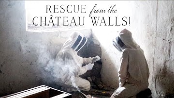 Château wall RESCUE!  Building a sustainable future: Part one