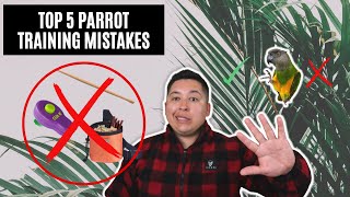 Are you making these top 5 common parrot training mistakes?