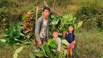 peb mus hlais qos dej los hau pub npua/7/5/ 2021