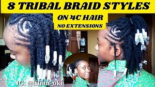 8 TRIBAL BRAID / FULANI BRAID STYLES PERFECT FOR CHRISTMAS!!!