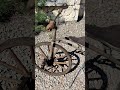 Rower dziecięcy