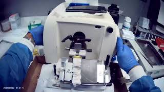 "Trimming More Appendix: 2 Blocks, Same Patient! ✂️🔬" Net Worth