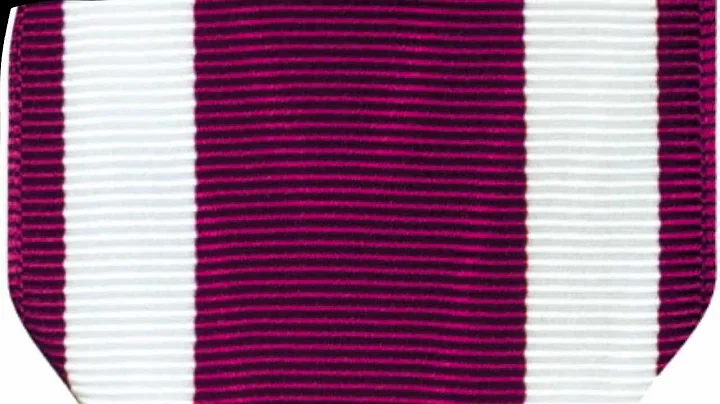 Meritorious Service Medal | Medals of America