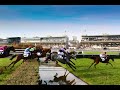 Live turf du 26042024  auteuil caen lyon parilly quint  15h15