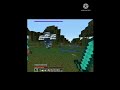 weird thing in minecraft